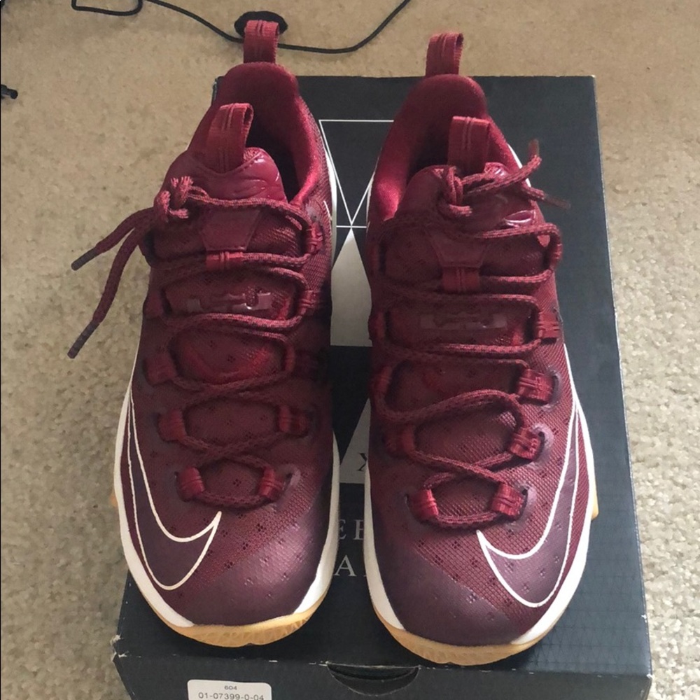 Lebron James shoes